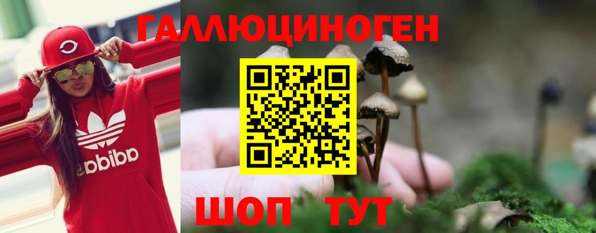 Галлюциногенные грибы Psilocybe  Галлюциногенные грибы Magic Shrooms  где продают наркотики  Йошкар-Ола  Вход с VPN 